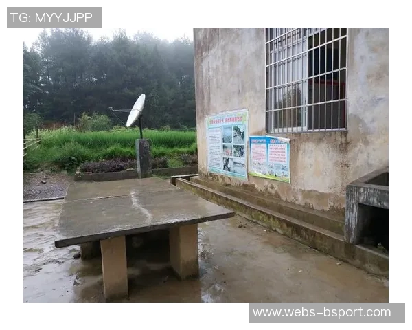 吴芳的乒乓球人生深度对话探讨她的成长与奋斗历程